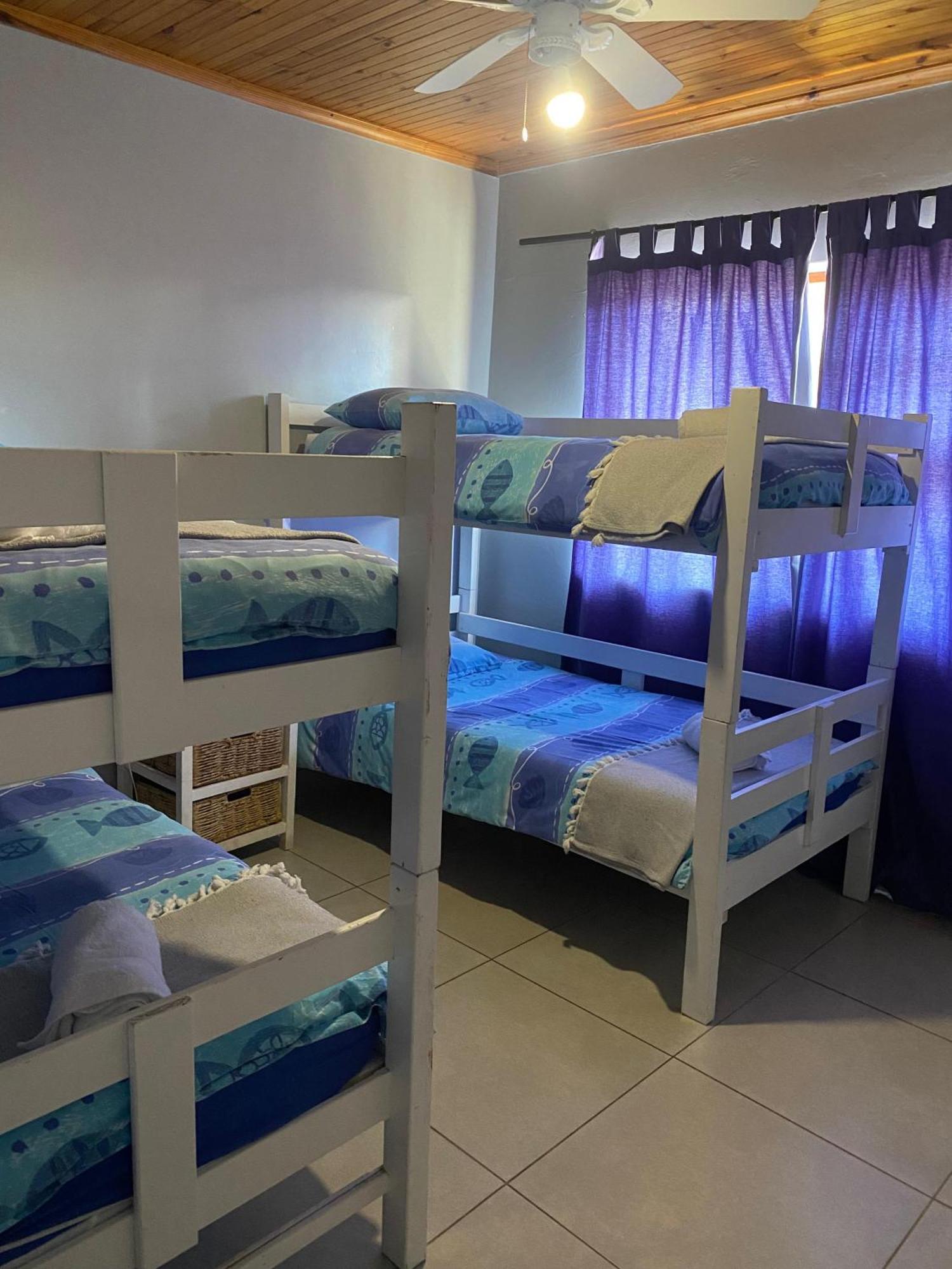 Adventure House - Colchester - 5Km From Elephant Park Экстерьер фото